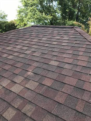 New shingles